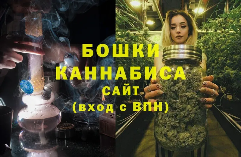 Бошки марихуана White Widow  как найти   Баксан 